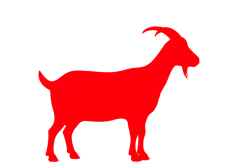 Bakra Qurbani