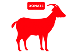 Donate Bakra to Needy People