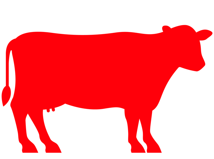 Cow Full - گائے کی قربانی