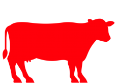 Full Cow