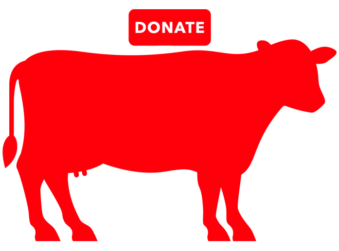 Donate Full Cow