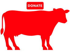 Donate Full Cow